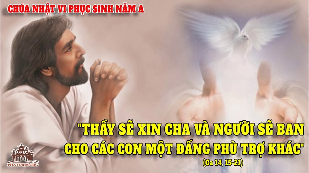 CHÚA NHẬT 6 PHỤC SINH năm A – Đấng Phù Trợ khác.