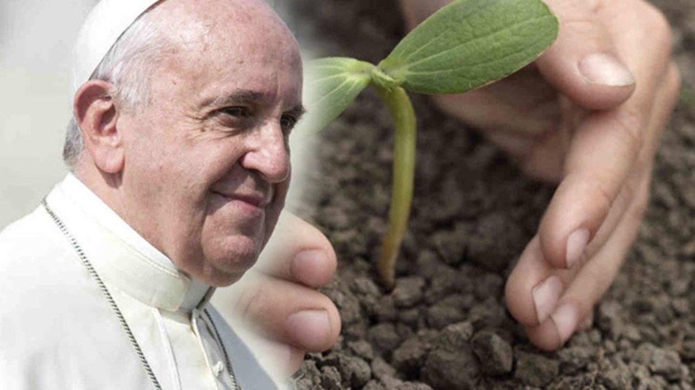 Khái niệm sinh thái toàn diện của Đức giáo hoàng Phanxicô: Mọi sự đều được kết nối