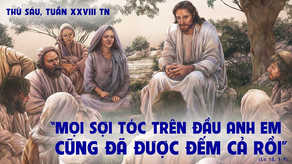 Thứ Sáu tuần 28 thường niên. – Ðừng Sợ.