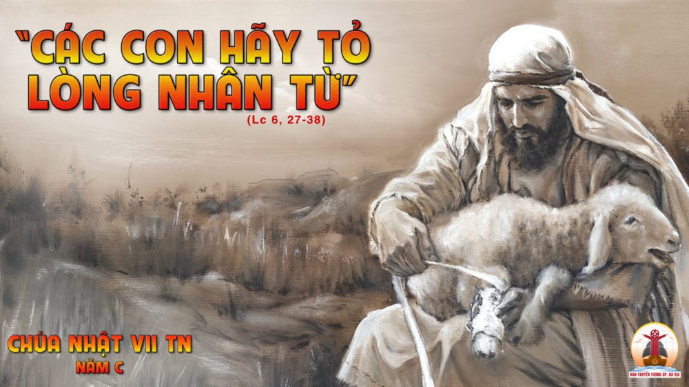 CHÚA NHẬT 7 THƯỜNG NIÊN Năm C. – Thương xót như Cha hay thương xót.