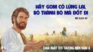 CHÚA NHẬT 16 THƯỜNG NIÊN năm A – Thửa ruộng lòng người.