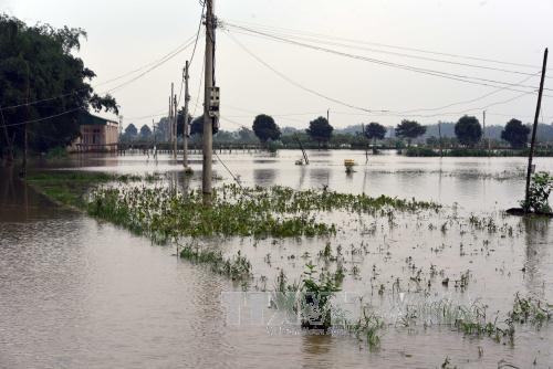 Hội đồng Giám mục Việt Nam: Thư uỷ lạo và kêu gọi cứu trợ các nạn nhân lũ lụt Miền Trung