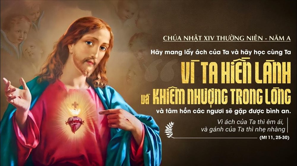 CHÚA NHẬT 14 THƯỜNG NIÊN năm A – Ách Ta êm ái, gánh Ta nhẹ nhàng.